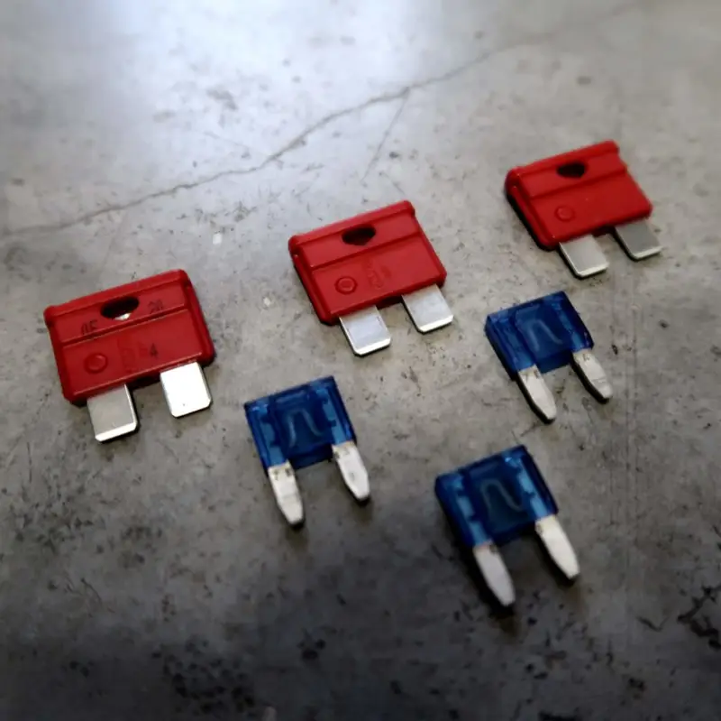 Zes autozekeringen, drie rode en drie blauwe, liggen op een grijs oppervlak. De zekeringen hebben elk twee metalen pinnen en zijn per kleur in twee rijen gerangschikt.