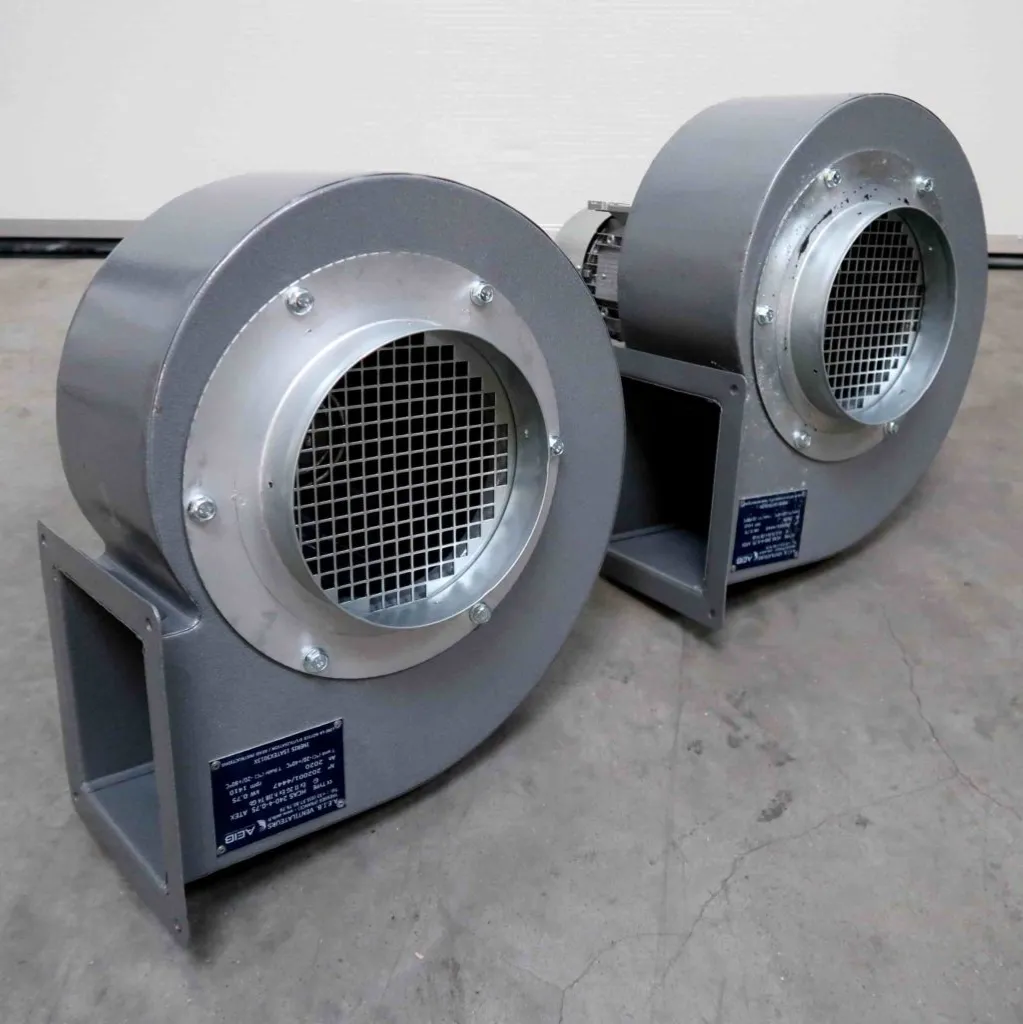 Op een grijze betonnen vloer staan twee industriële metalen ventilatoren met beschermroosters. De ventilatoren staan naast elkaar, lichtjes naar rechts gericht, en hebben blauwe labels op hun voetstukken.
