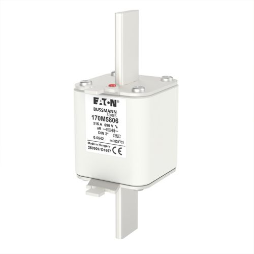 BUSS HS Size 2 aR 690Vac 200kA 315A IEC/DIN - 170M5806