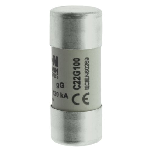 BUSS 22x58mm gG 500Vac 120kA 100A IEC - C22G100