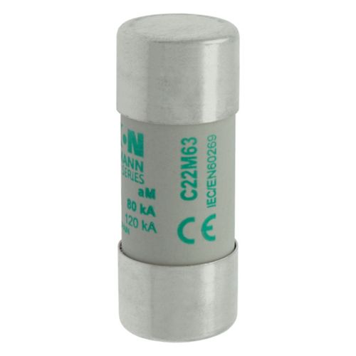 BUSS 22x58mm aM 690Vac 80kA 63A IEC - C22M63