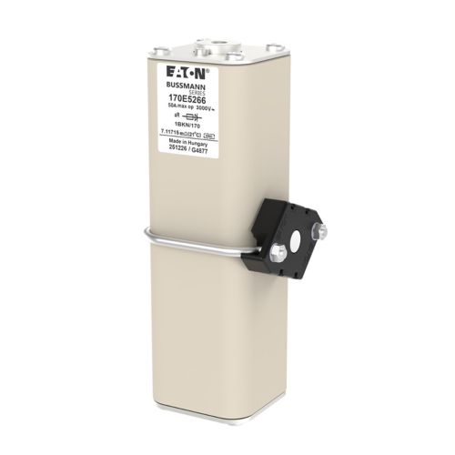 BUSS HS  1BKN/170 169mm aR 3000Vac 100kA 50A IEC M8 - 170E5266